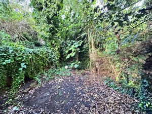 Photo 19- click for photo gallery